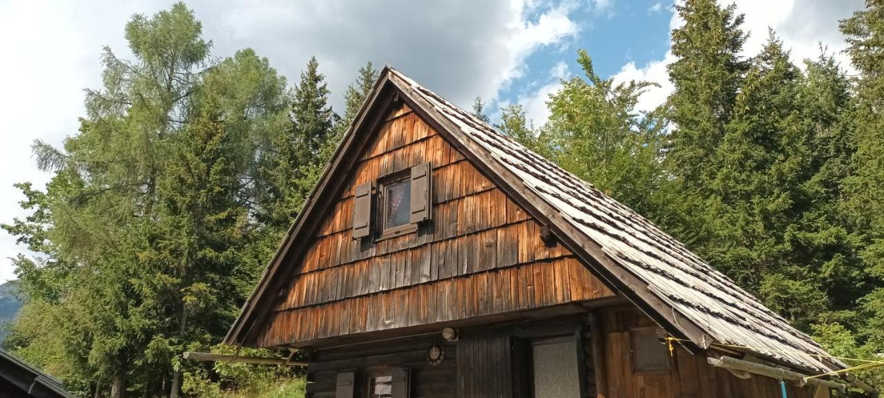 Villa Planinska Hisica Pod Macesni - Bohinj Srednja Vas v Bohinju Exterior foto