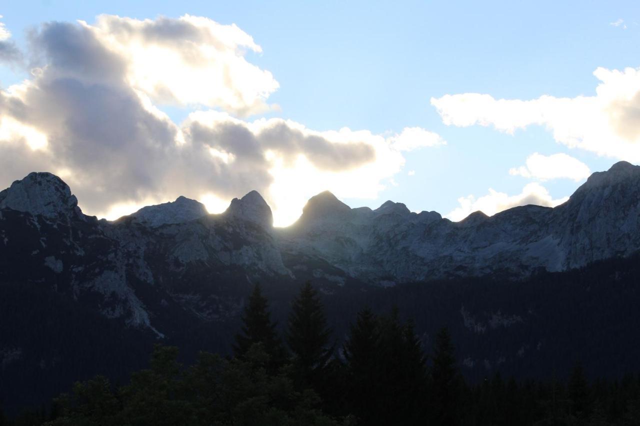 Villa Planinska Hisica Pod Macesni - Bohinj Srednja Vas v Bohinju Exterior foto