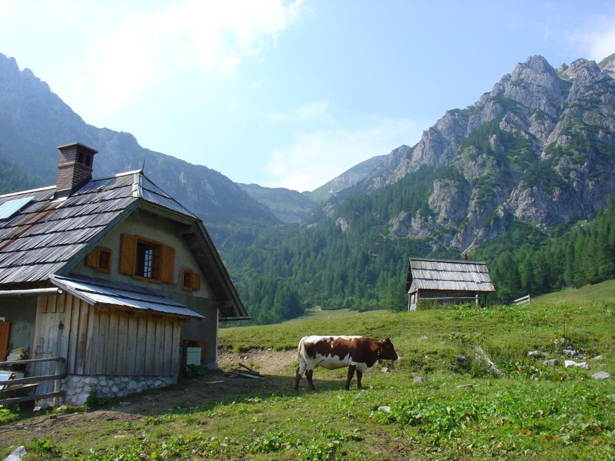 Villa Planinska Hisica Pod Macesni - Bohinj Srednja Vas v Bohinju Exterior foto